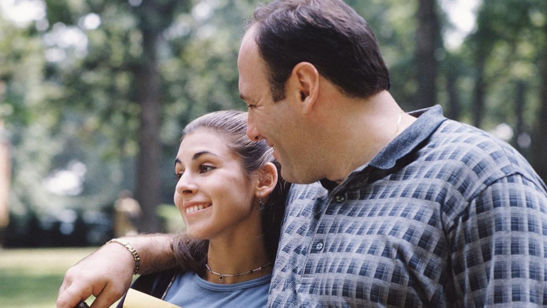 The Sopranos gained attention because of its skilled cast (Image via HBO)