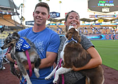"It was special" - Will Smith’s wife Cara reveals how Dodgers star pulled off the perfect proposal