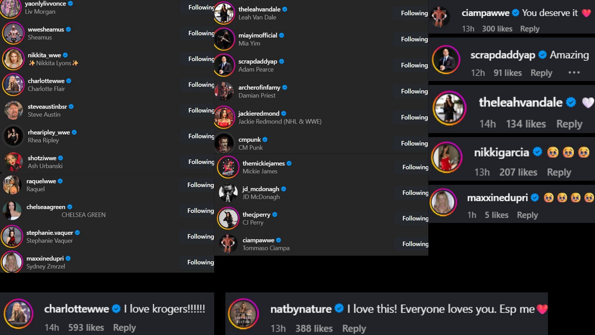 Screenshots of stars&#039; likes and comments [Image credit: Bayley&#039;s Instagram]