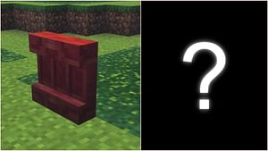 New Minecraft shelf block brings key feature from a lost mob vote contender