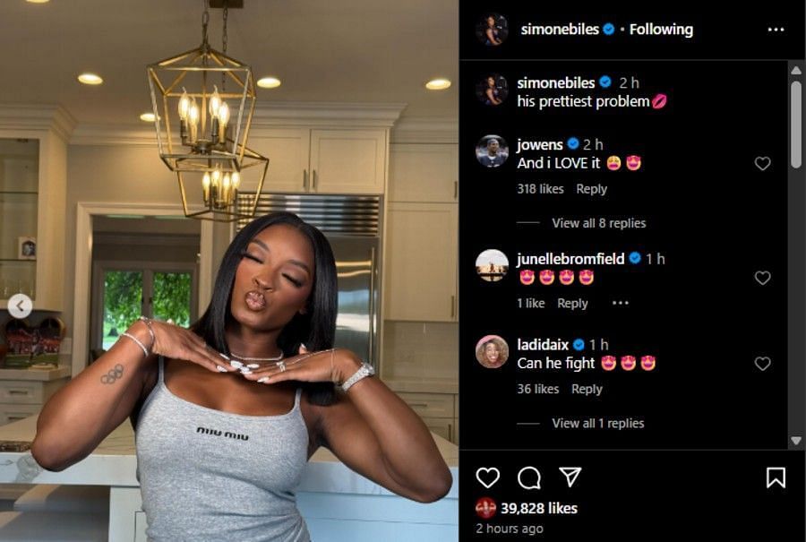 Screenshot of the Instagram post&#039;s comment section.