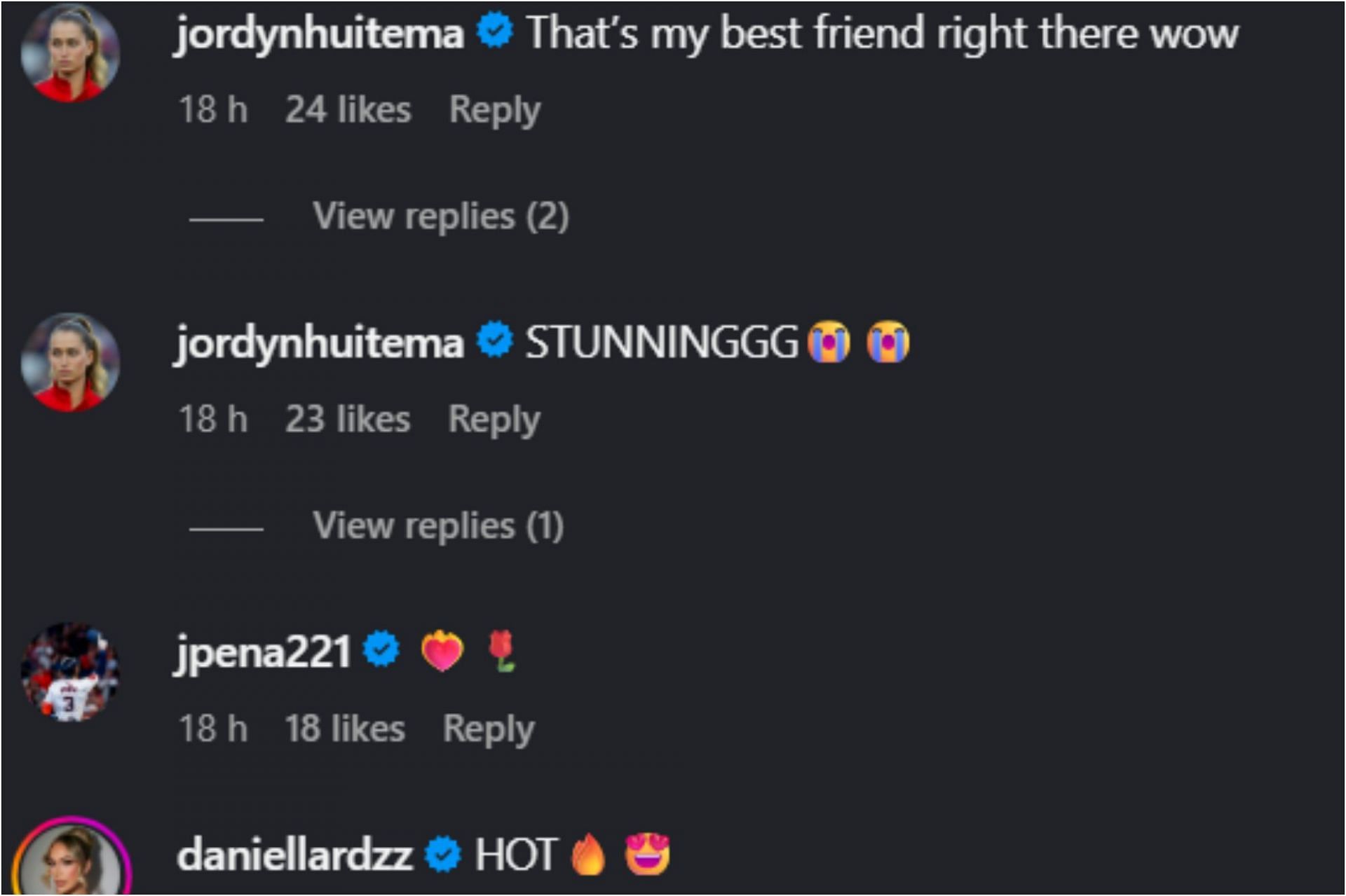 Screenshot of comments [Source: Instagram/juliagrosso7]