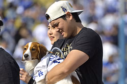 Shohei Ohtani's furry friend Decoy steals the show with Dodgers star's major announcement on debut in children's book