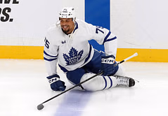 Ryan Reaves gets candid about his thoughts on longtime rival Tom Wilson after attending Chandler Stephenson's wedding