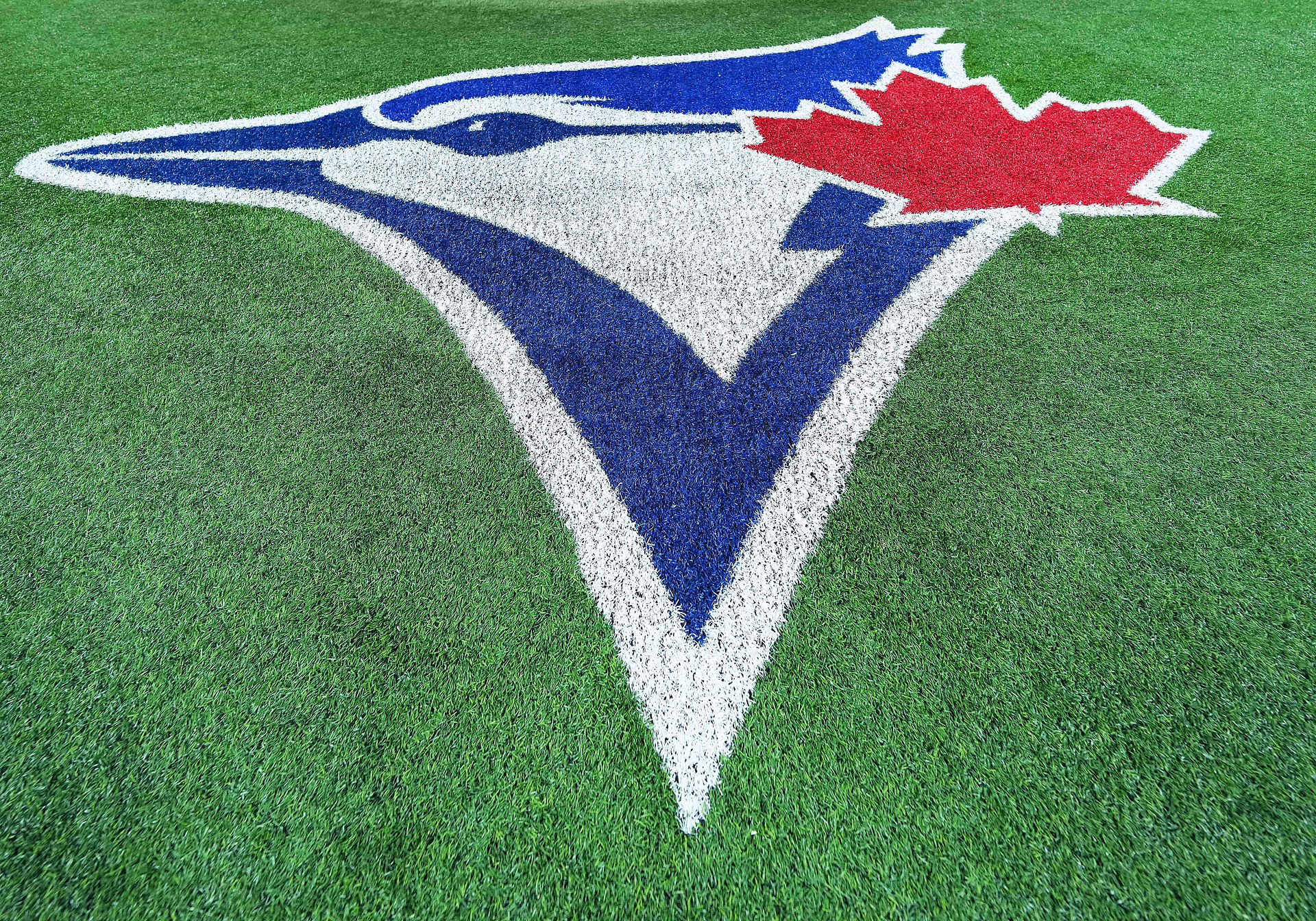 MLB: Baltimore Orioles at Toronto Blue Jays - Source: Imagn