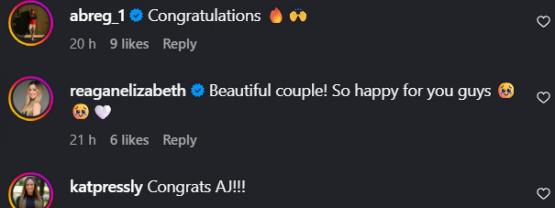 Screenshot of comments [Source: Instagram/ajbreg.1]