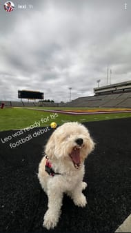 Screenshot of Lexi Thompson's Instagram story on June 30, 2025 - Source - via @lexi on Instagram