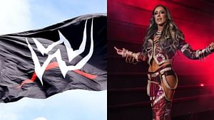 Major update on AEW star Britt Baker's status amid WWE rumors - Reports