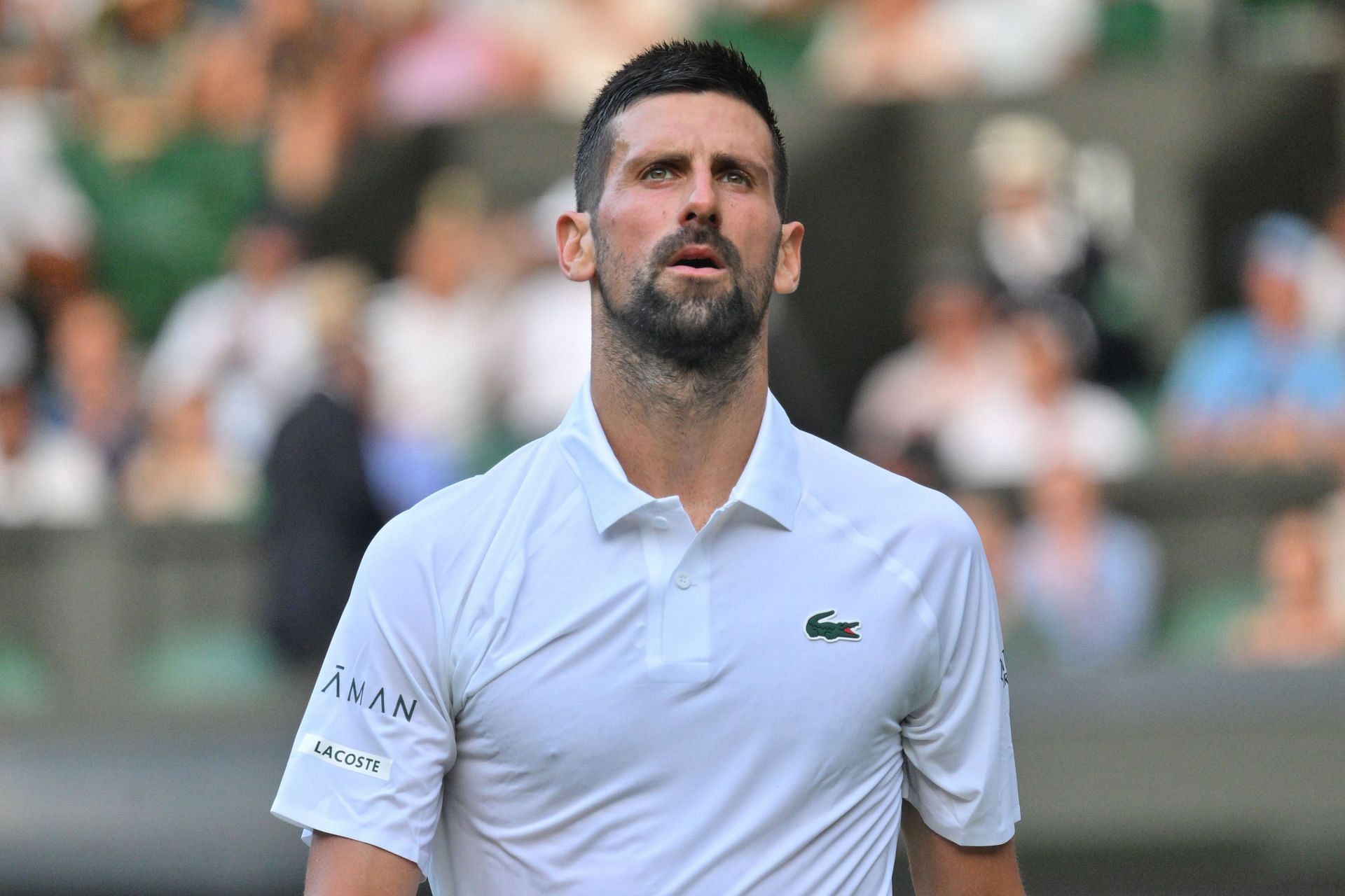 Wimbledon Tennis Championships - Day 2 - Source: Getty