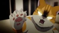 Kayden's cat form, as seen in the trailer (Image via DandeLion Animation Studio)