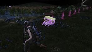 Once Human: How to find Dream Zone Trace Box