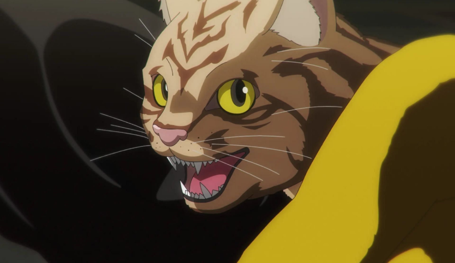 A cat, as seen in the anime (Image via Studio OLM)
