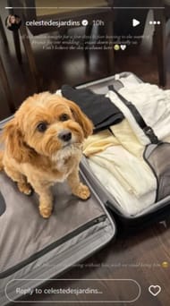 via Instagram /@celestedesjardins