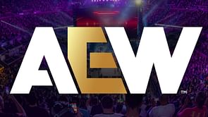Popular stars suddenly get a new tag team name in AEW