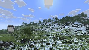 How to use X-ray in Minecraft 1.21.7