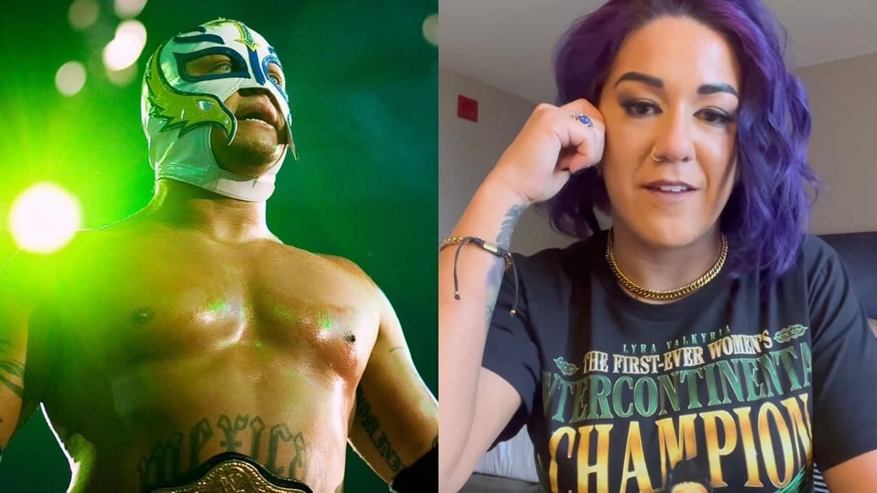 Images from the Bayley