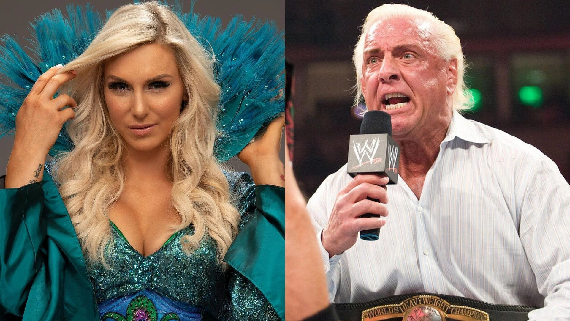 Ric Flair made some interesting comments today. [Image credits: WWE.com]