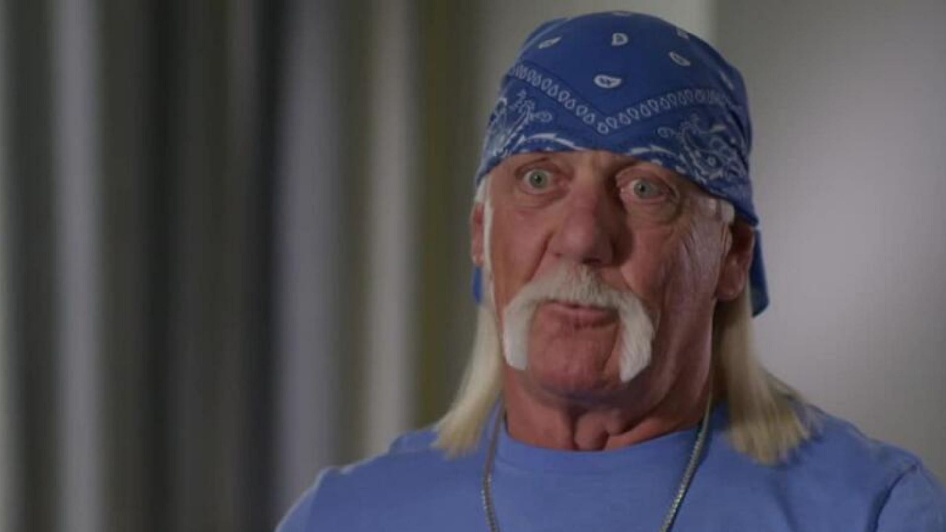 Hulk Hogan is gone (Credit: WWE.com)