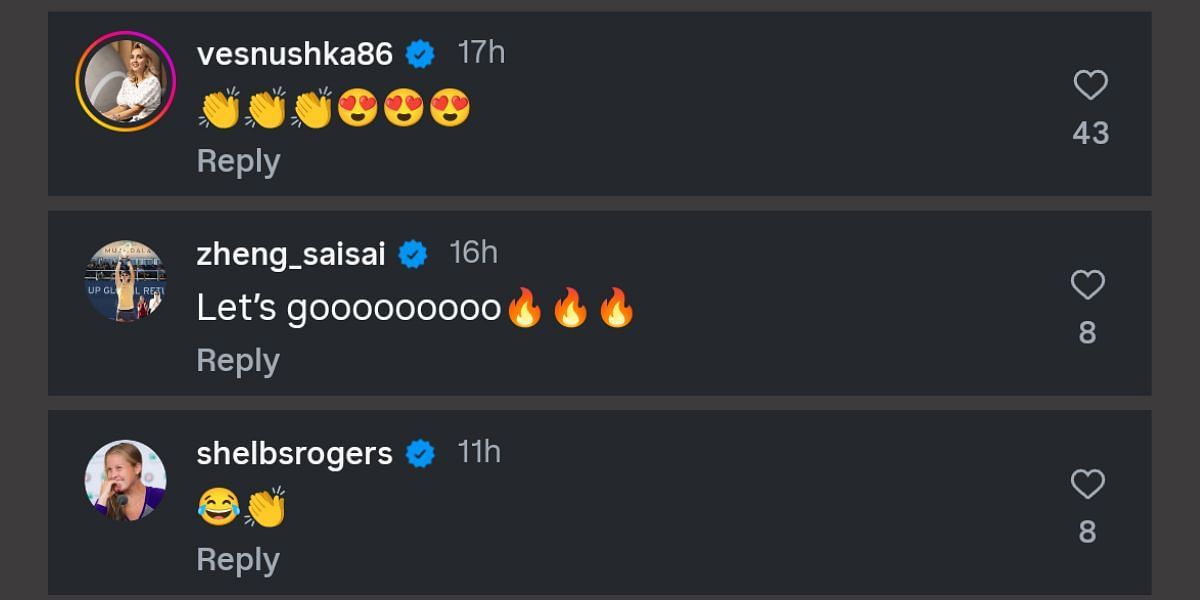 Via Anastasia Pavlyuchenkova&#039;s Instagram replies