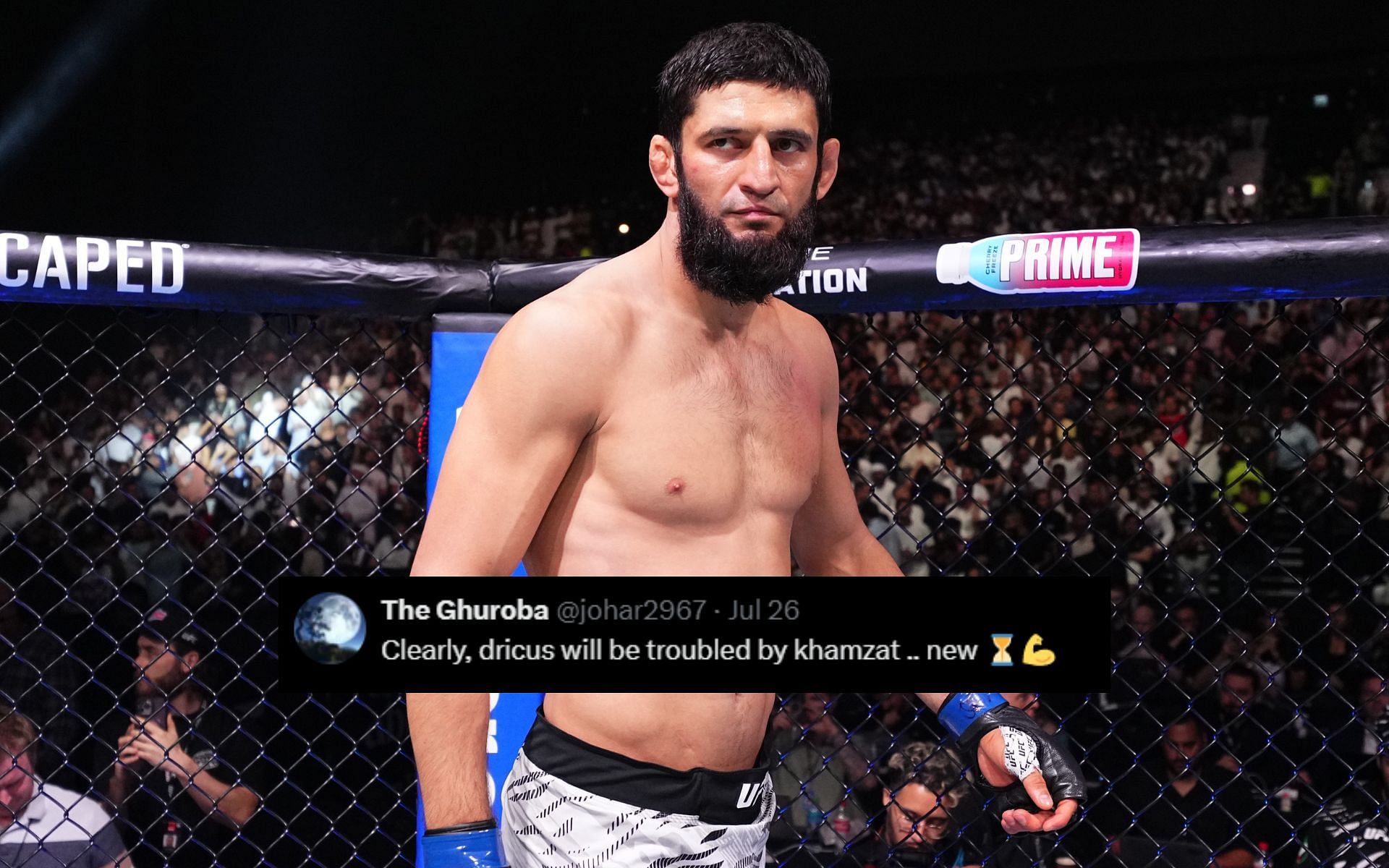 Fans react to Khamzat Chimaev
