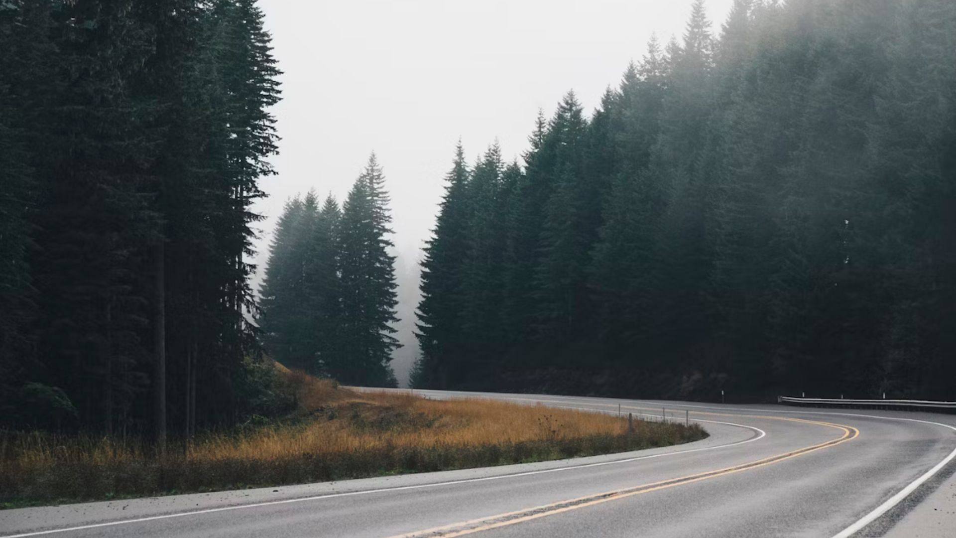 (Image via Unsplash/ @ Lou Levit)