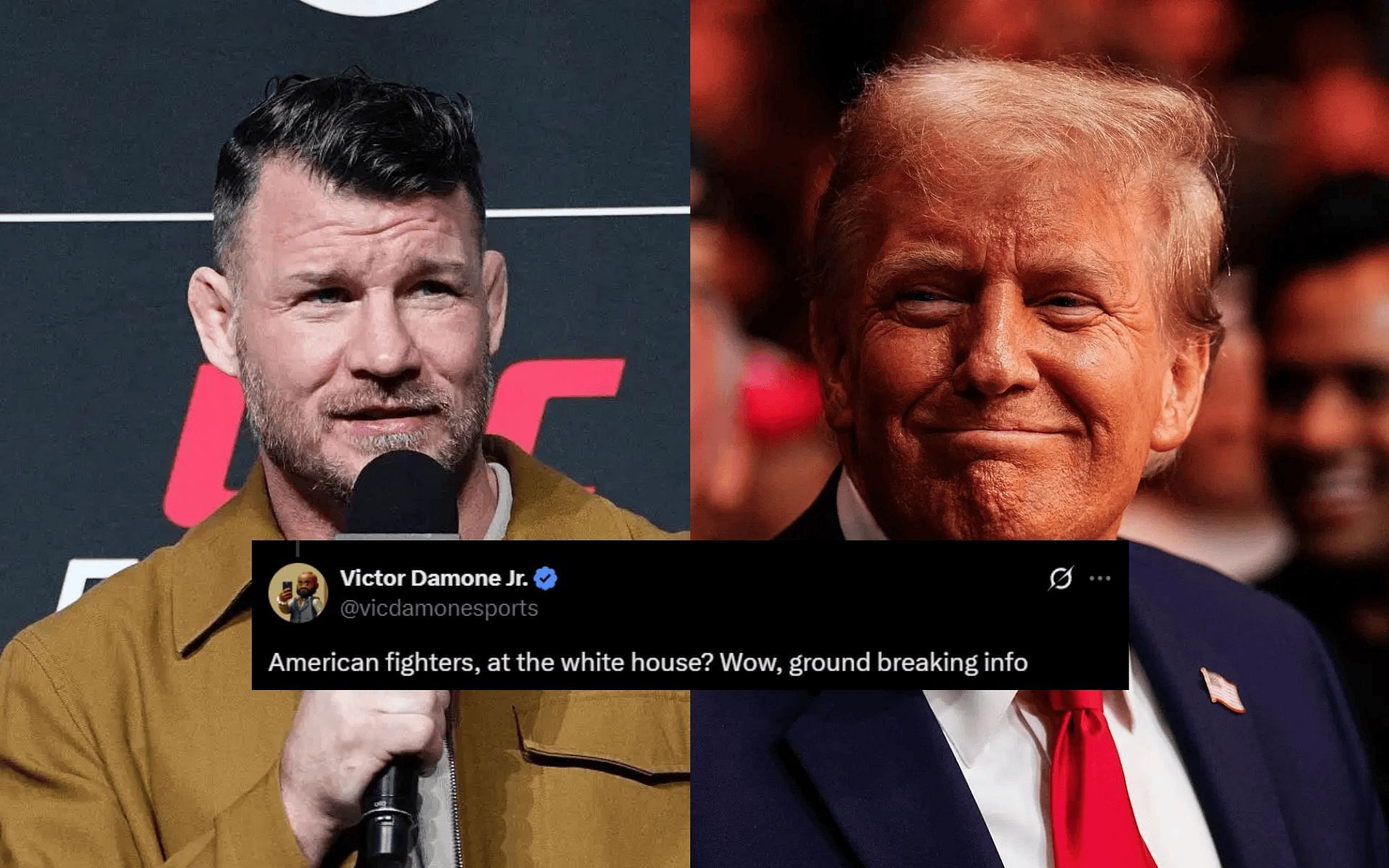 Fans react to Michael Bisping