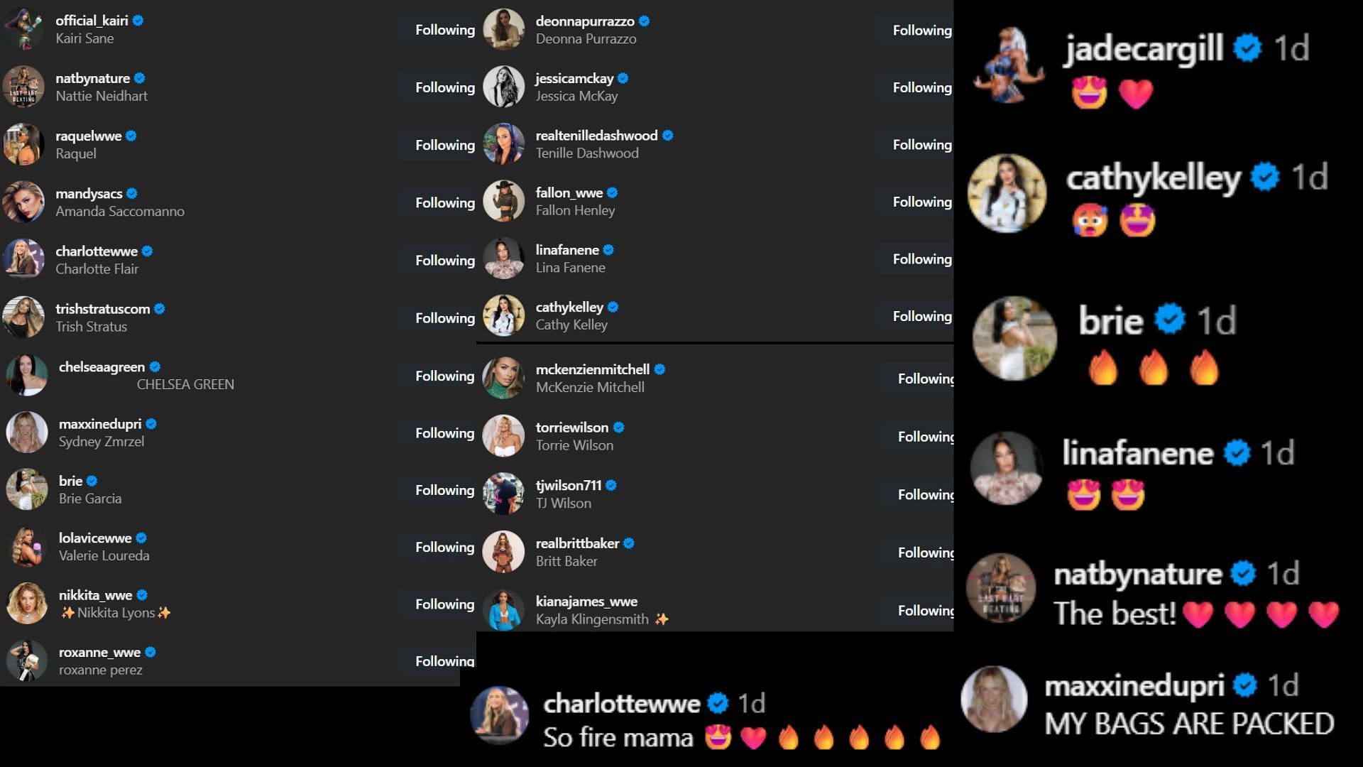 Screenshots of stars&#039; likes and comments. [Image via Nikki Bella&#039;s Instagram]