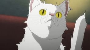 Nyaight of the Living Cat episode 2: Exact release date and time, where to watch, and more