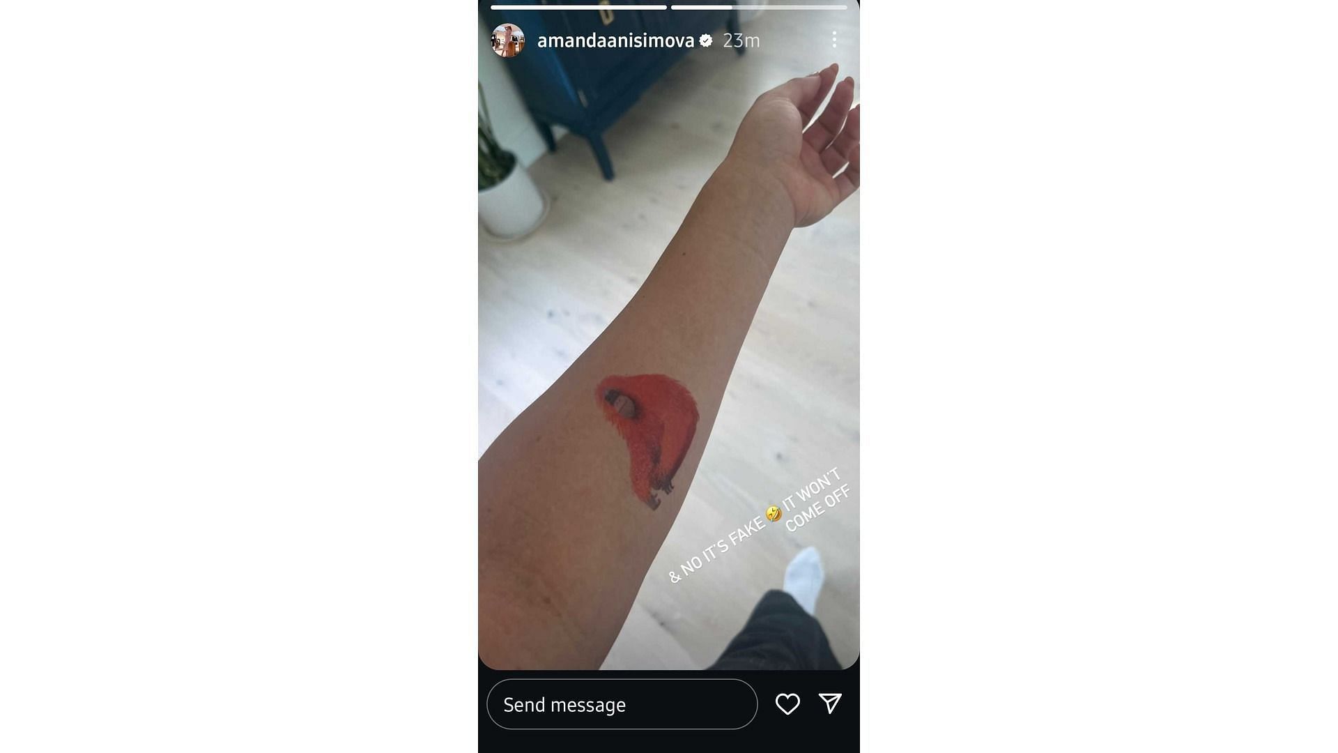 Screenshot of Anisimova&#039;s story (Image via: @amandaanisimova)