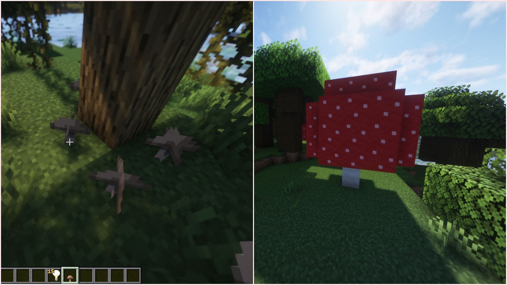 Small mushrooms grow naturally in low-light areas, while large mushrooms grow in certain biomes (Image via Sportskeeda Gaming || Mojang Studios)