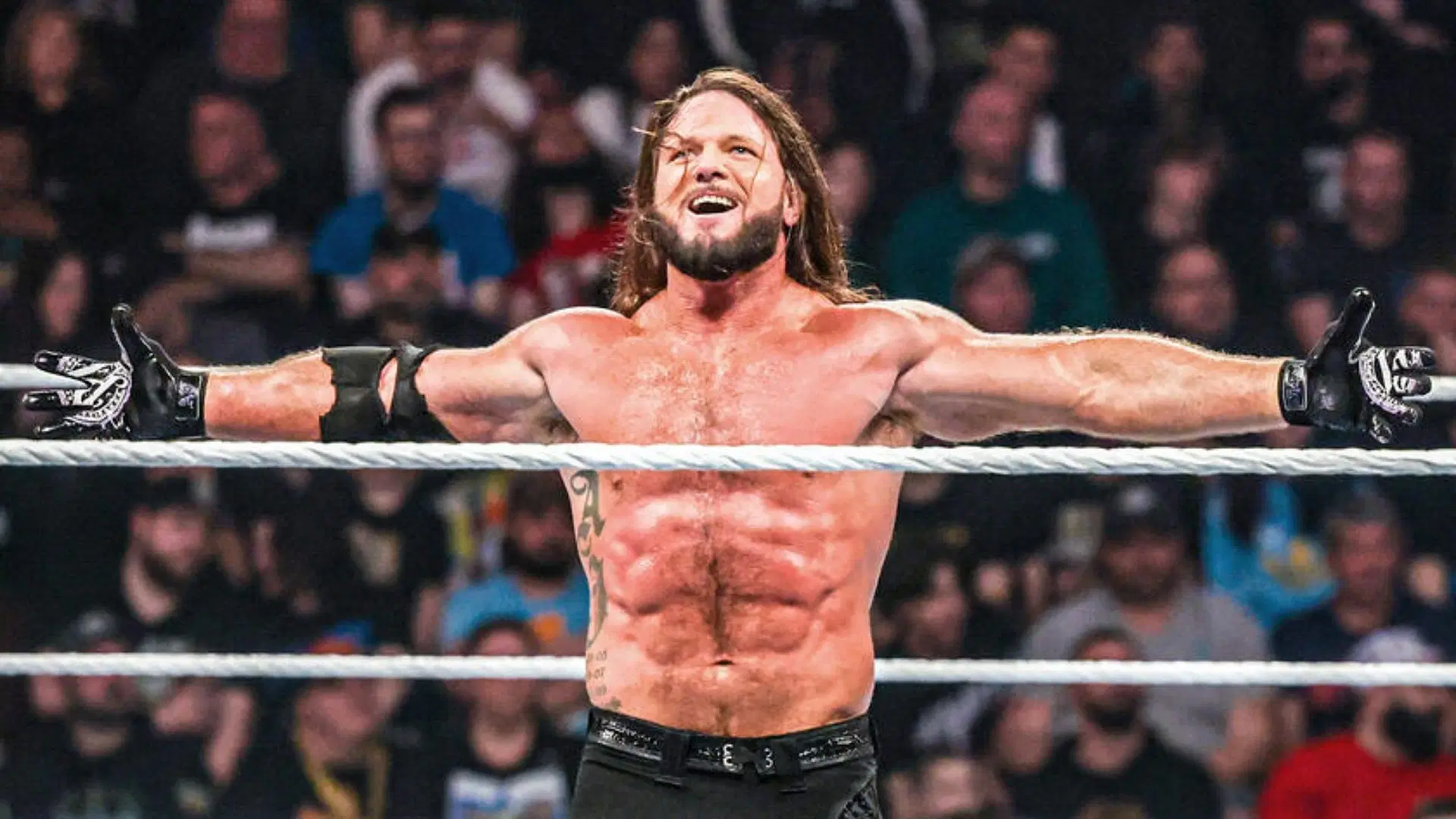 Styles is involved in a heated rivalry on RAW/ [Image credit: WWE.com]