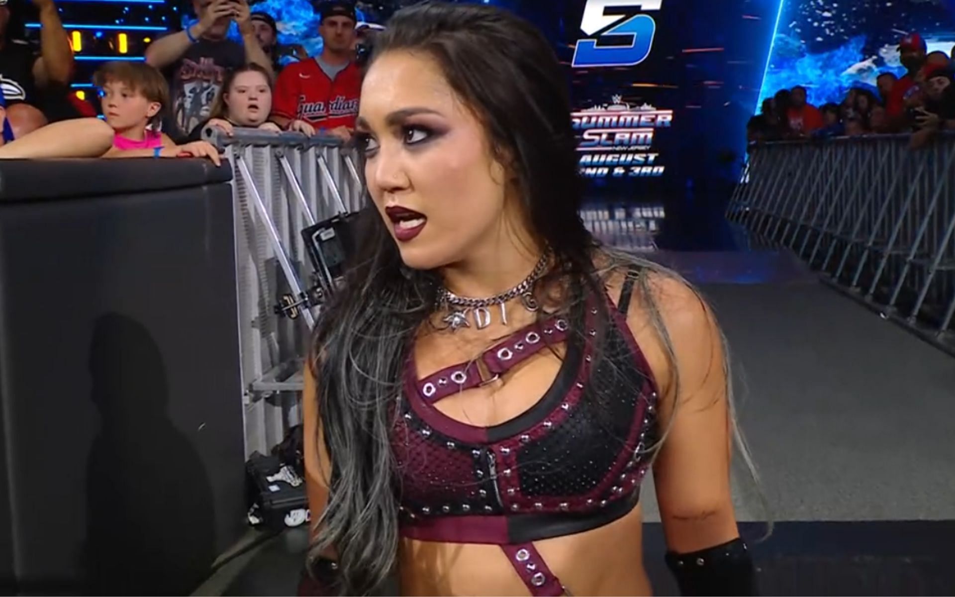 (Picture Courtesy: WWE on Netflix)