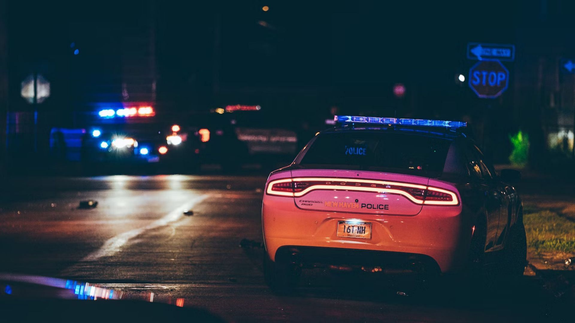 (Image via Unsplash/ @ Martin Podsiad)