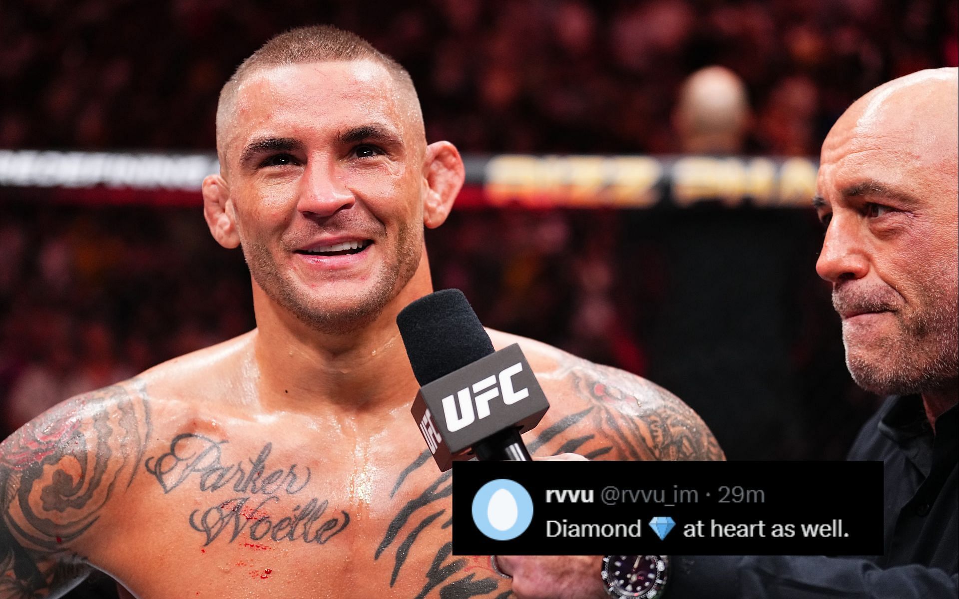 Fans react to Dustin Poirier