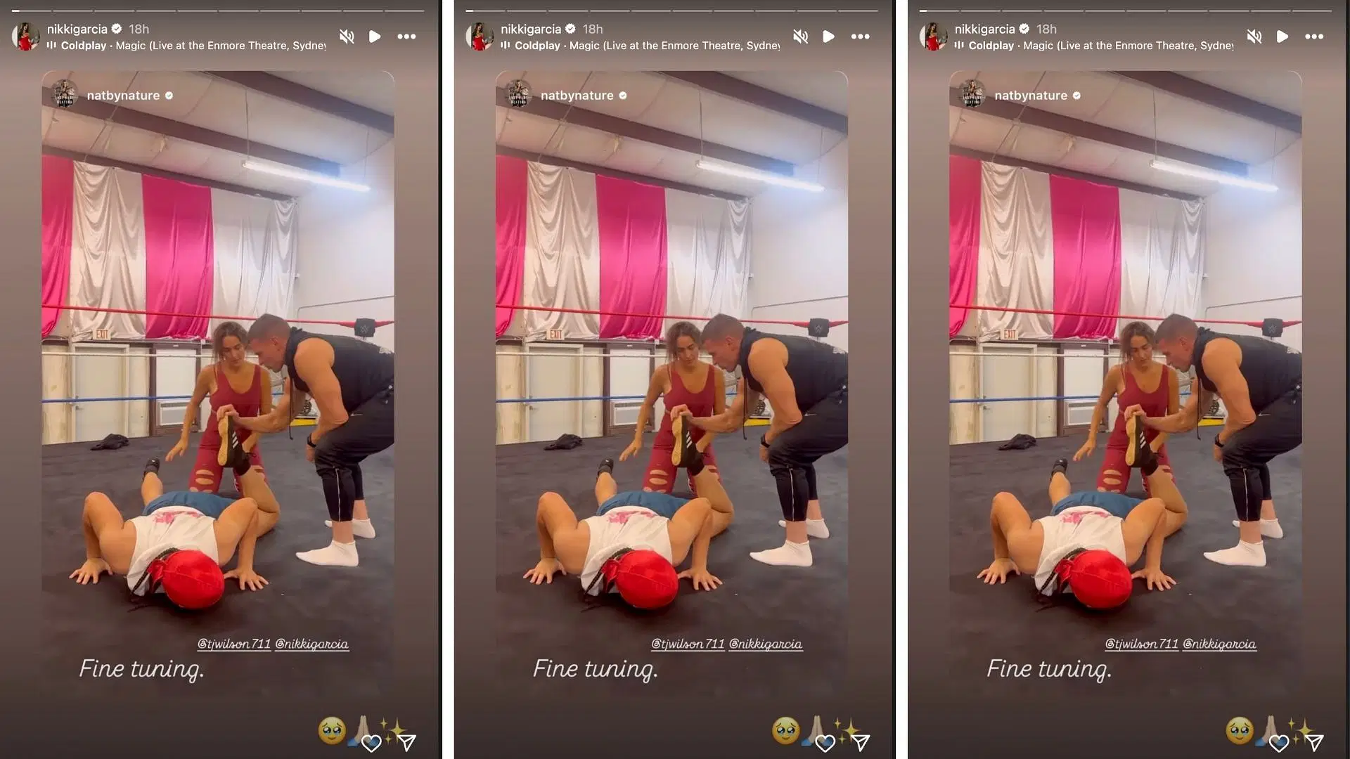 Bella is training with TJ Willson ahead of Evolution 2025. [Image credit: Nikki Bella on Instagram]