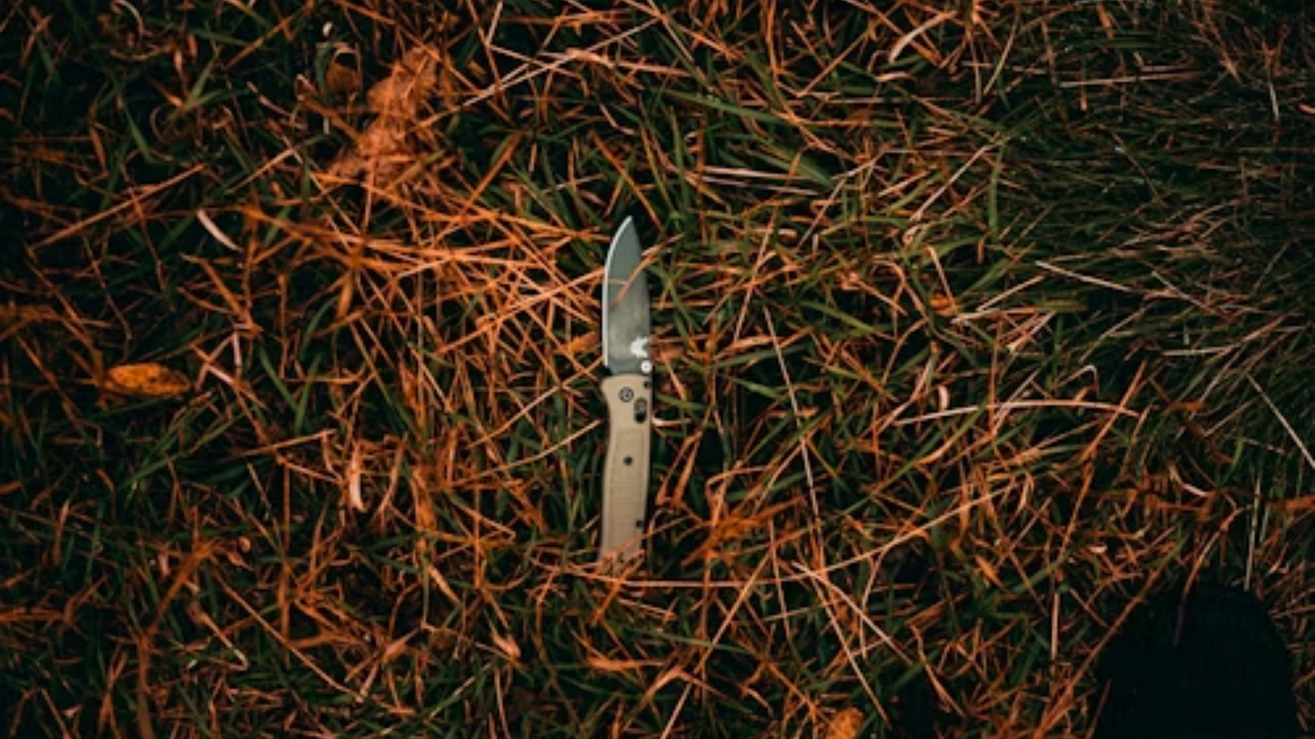 An imagery  of murder