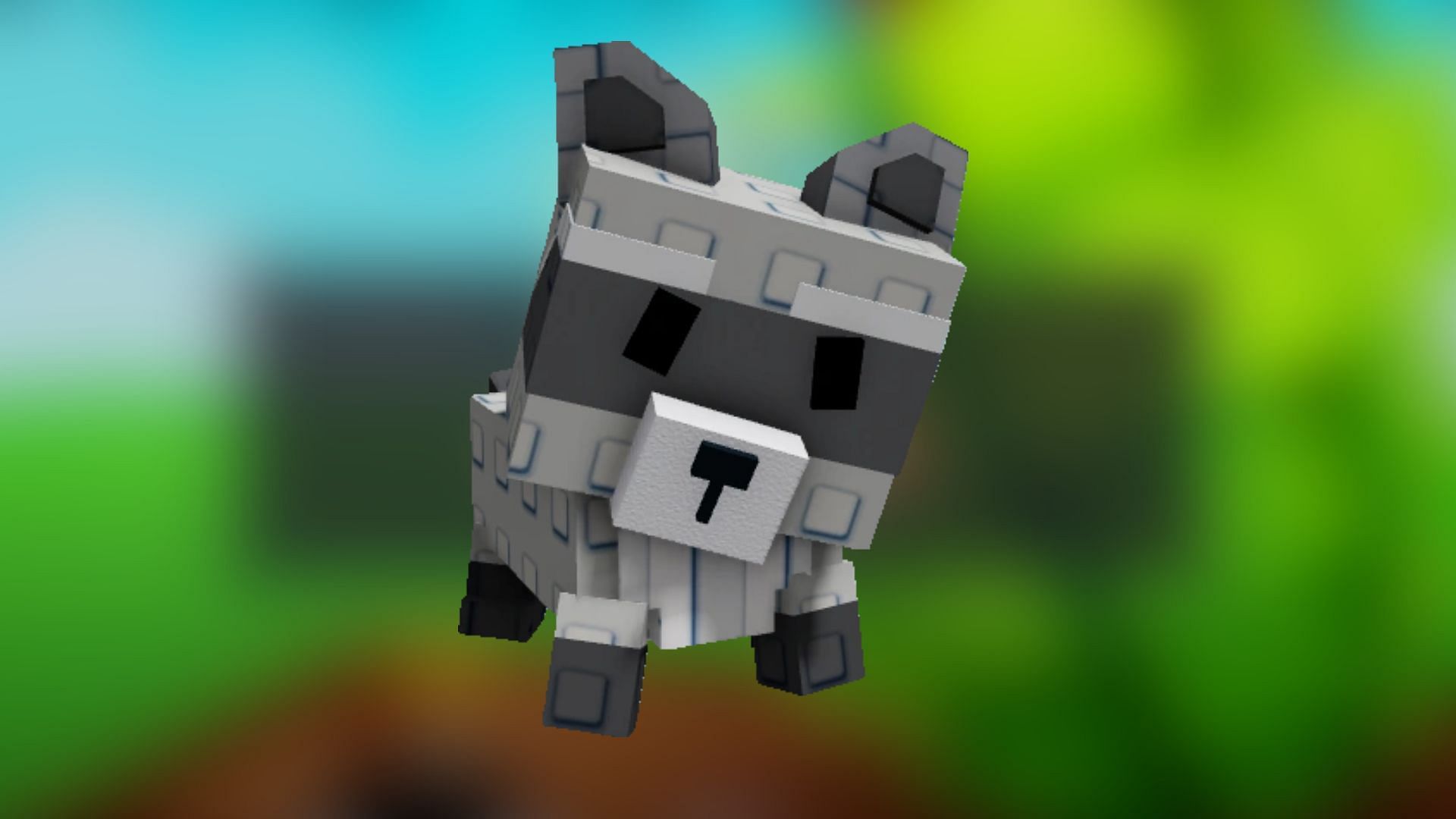 Raccoon Pet (foto através de Roblox)