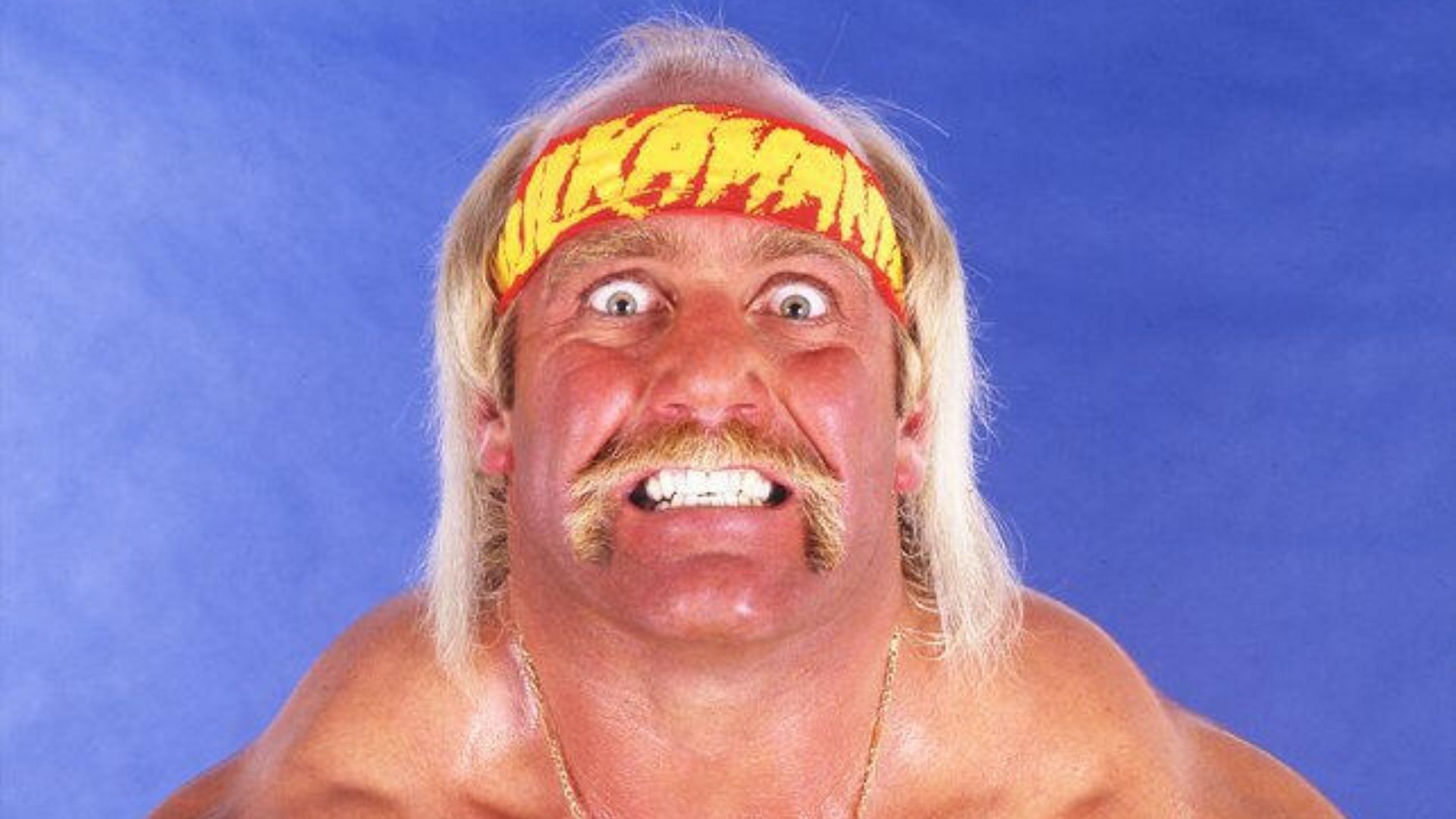 Hulk Hogan was WWE