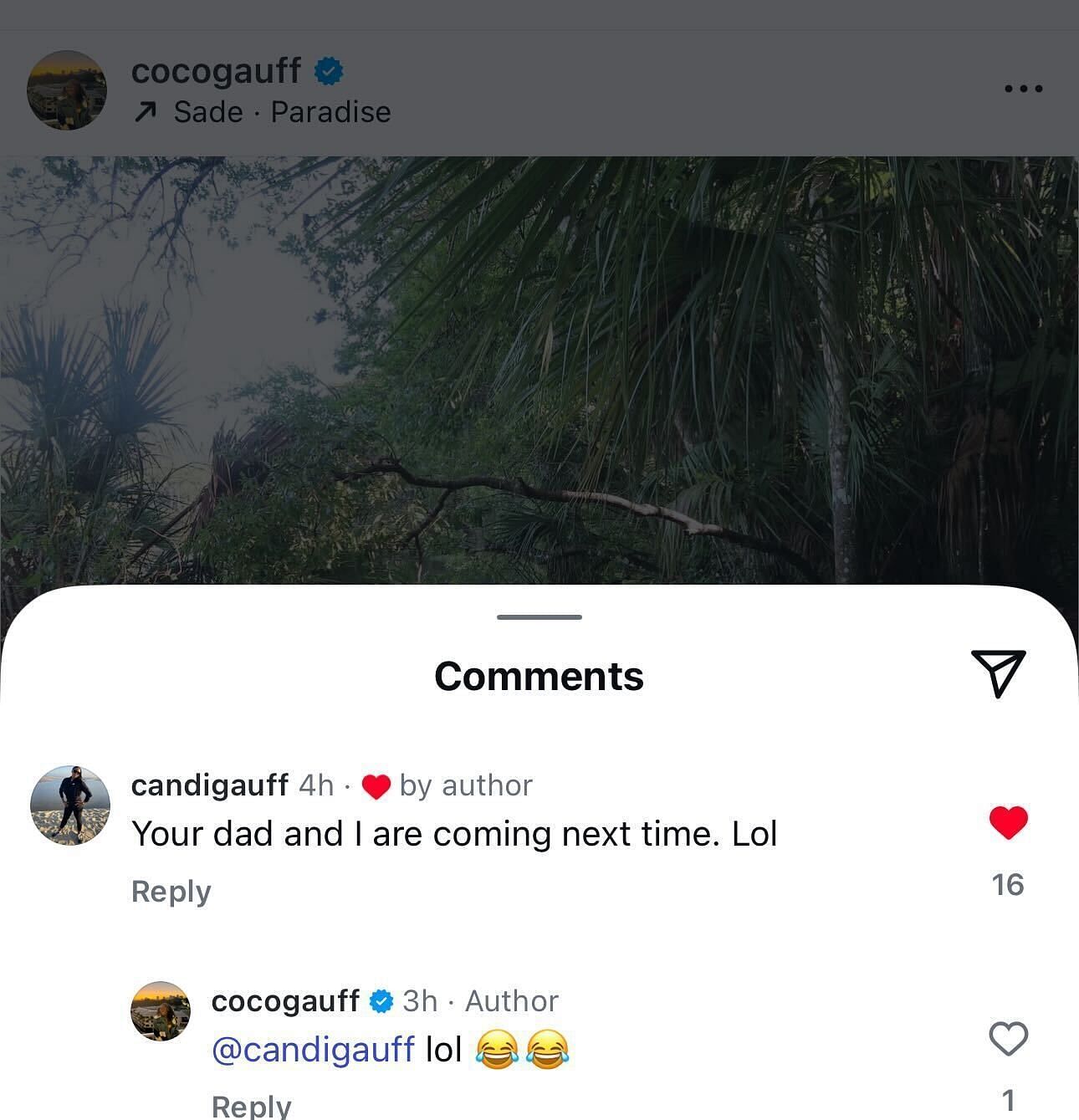 Comments section