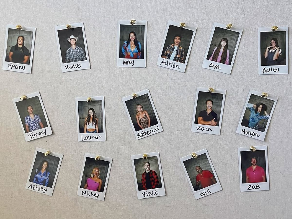 Big Brother cast 