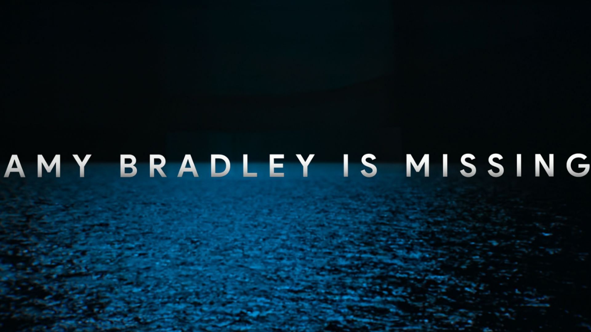 A poster from Amy Bradley is Missing