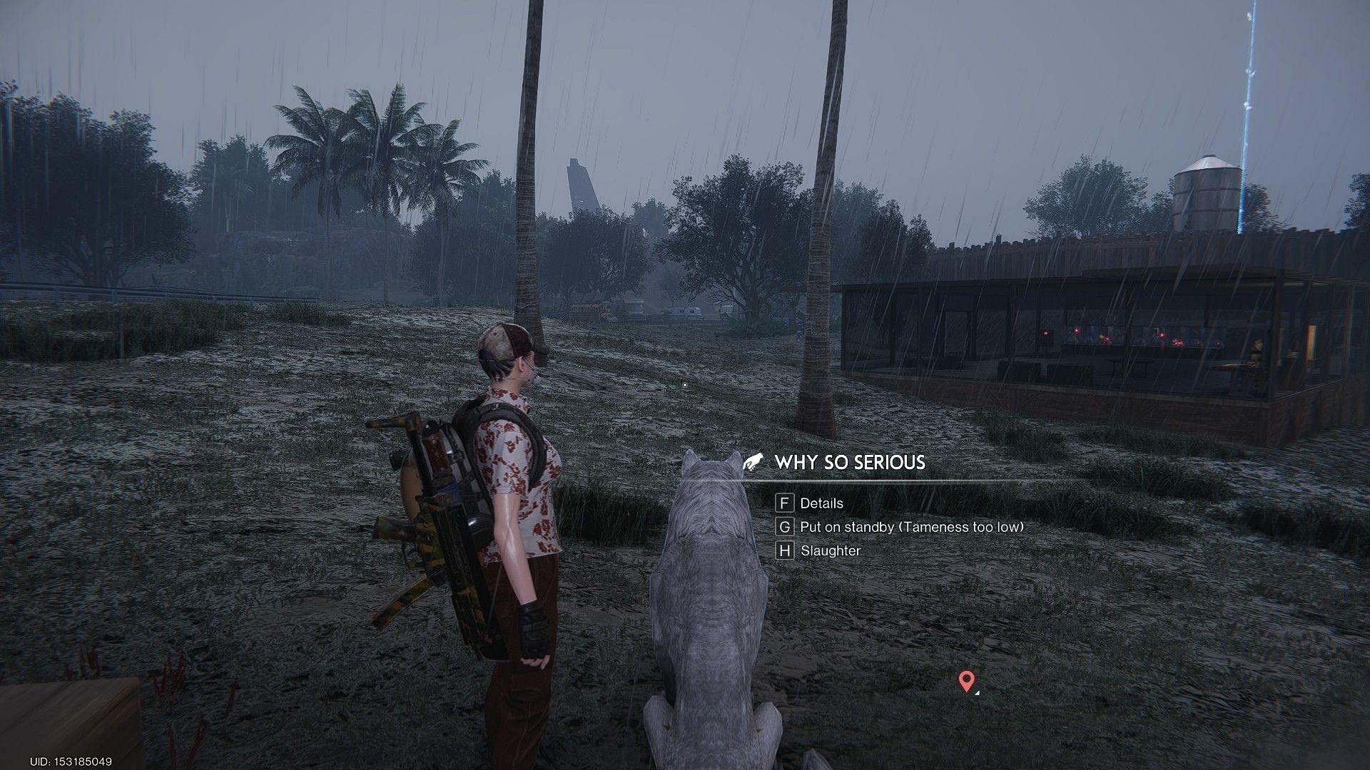 Unfortunately, you can&#039;t pet your companions (Image via Starry Studio)