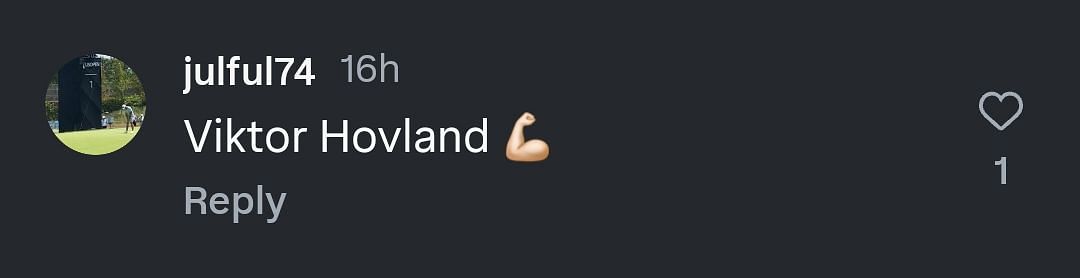 Screenshot of a comment for Viktor