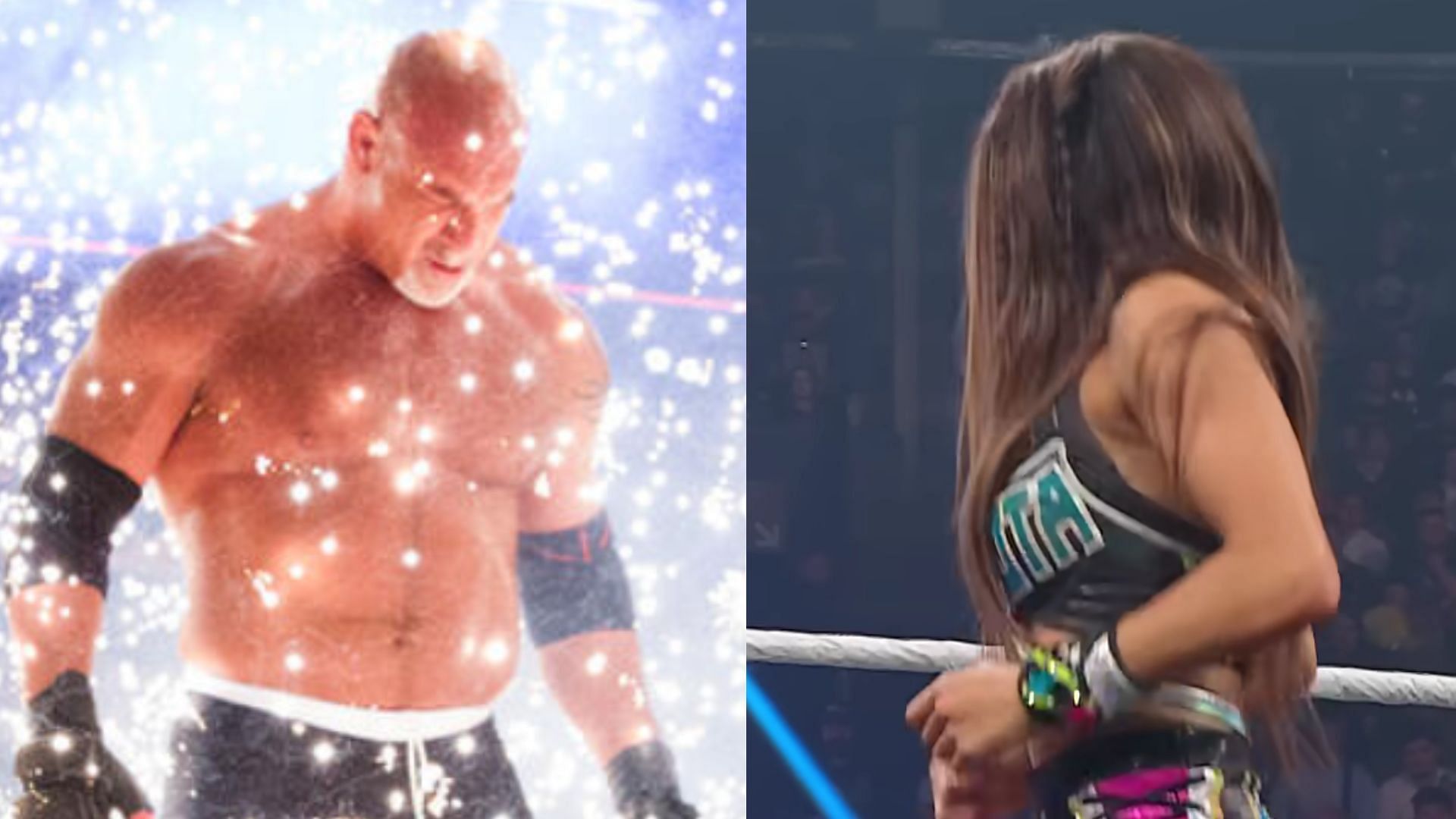 Many non-AEW names could feature in Forbidden Door 2025. (Images via WWE.com and WWE YouTube) 
