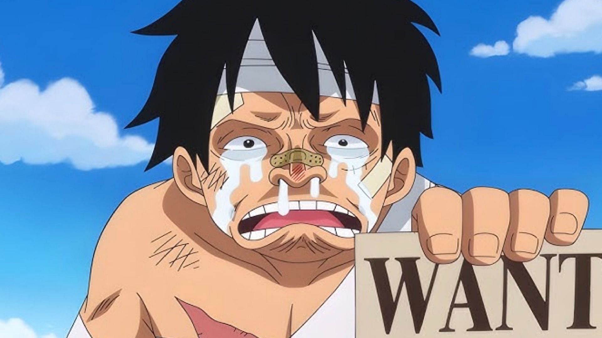 one piece