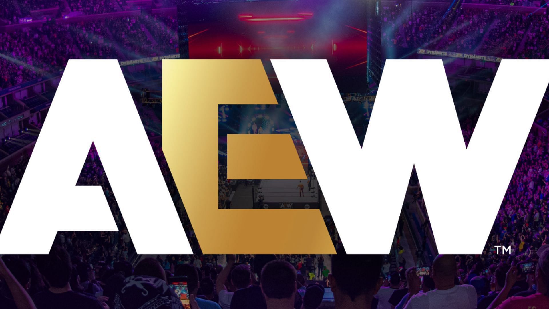 A top AEW star could be out of action till next year [Image Credits: AEW