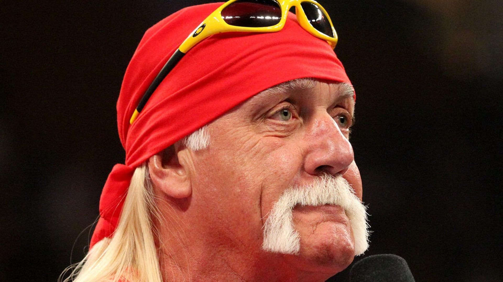 What is Hulk Hogan planning next? (via WWE.com)