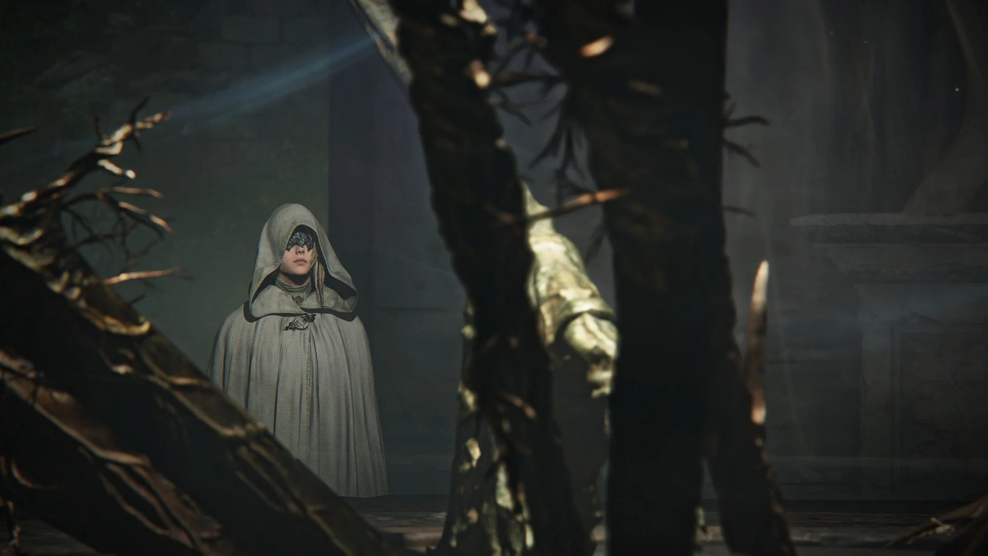 All changes in the Elden Ring Nightreign patch 1.02 