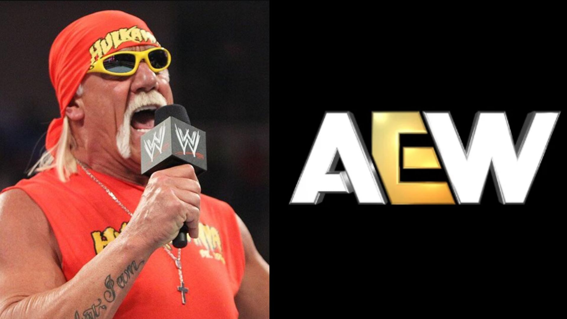 Wrestling legend Hulk Hogan passed away last week [Image Credits: WWE