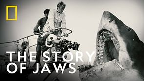 When will Jaws @ 50: The Definitive Inside Story premiere? Release date, concept, trailer, and more